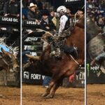 Top Brands for High-Quality Rodeo Equipment