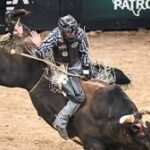 Top Bull Riding Events and the Bulls That Dominate Them