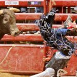 Top Bulls for Rodeo Events in 2025