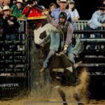 Top Rodeo Vest Brands for Professional Riders