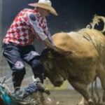 Training Bull Fighters for Rodeo Events