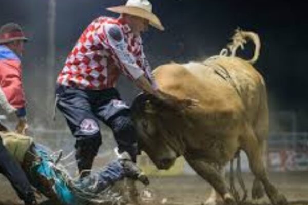 Training Bull Fighters for Rodeo Events