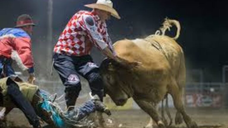 Training Bull Fighters for Rodeo Events