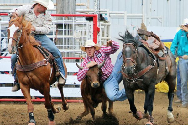 Types of Rodeo Events Explained