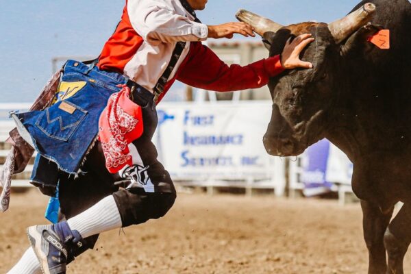 What Do Bull Fighters Do in Rodeos?