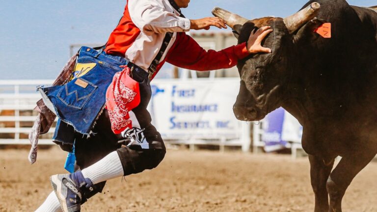 What Do Bull Fighters Do in Rodeos?