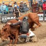 What Makes Rodeo Helmets a Vital Safety Feature