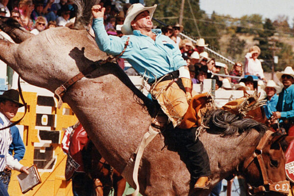 What to Expect at Your First Rodeo Event