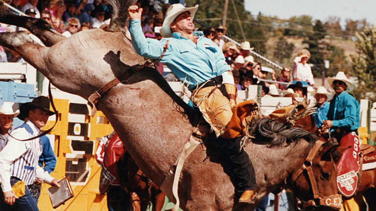 What to Expect at Your First Rodeo Event