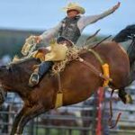 What to Expect at a Professional Rodeo Event