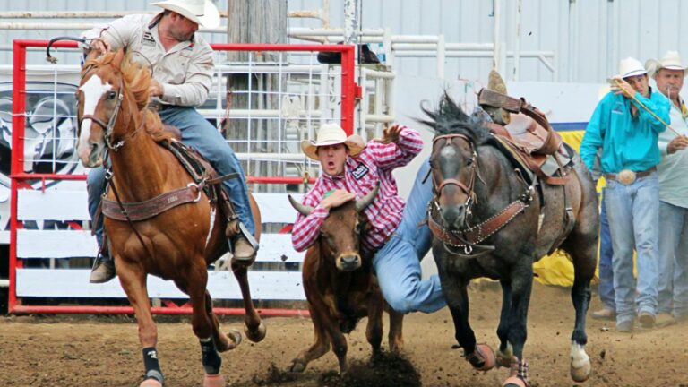 What to Know About Rodeo Events