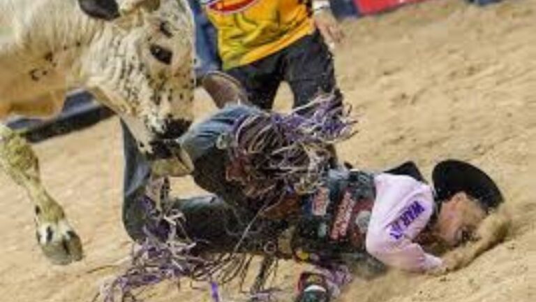 Why Are Rodeo Bulls So Dangerous?