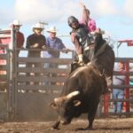 Why Rodeo Events Continue to Grow in Popularity
